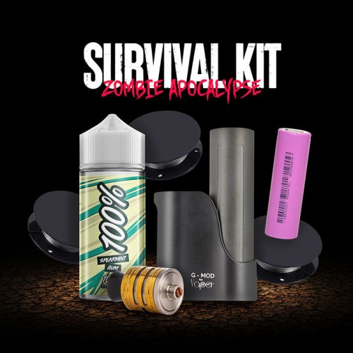 Best Bundle: When Zombies Have Taken Over Sto...
